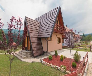 Mountain house Popovic Tara