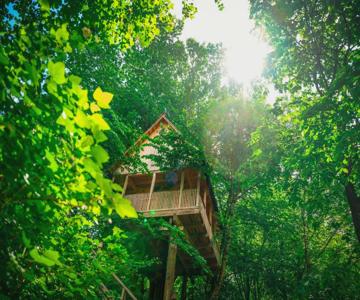 Tourist Green Resort Garden Village