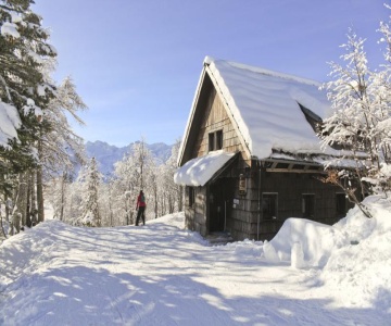 Chalet Hostel Murka