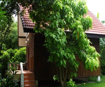 Thai Bamboo Guesthouse Resort