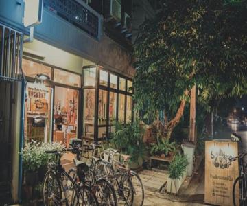 Spinning Bear Hostel