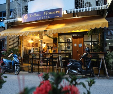 Yellow Flowers Hostel
