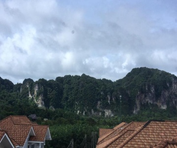 Green Leaf Guesthouse