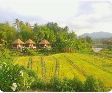 Bulun Buri Pai