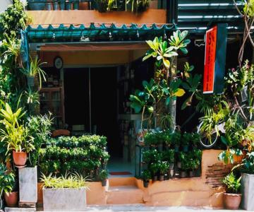 Sabina Guesthouse Kamala Beach