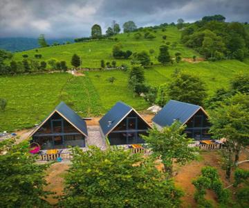 Dogallife Suit Bungalov