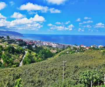 Paradise Villa Trabzon