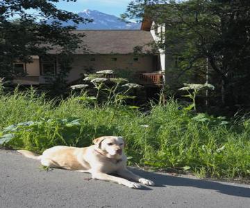 Eagle Peak Guesthouse
