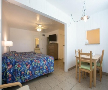 Dolphin Inn