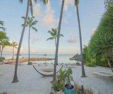 Kona Kai Resort Gallery & Botanic Garden