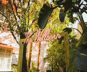 Suites by The Wellborn
