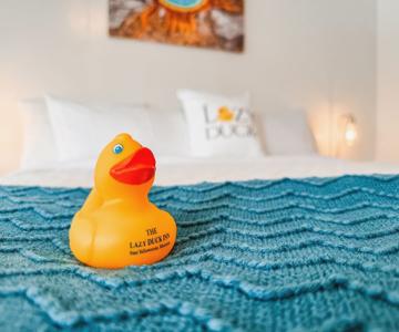 Lazy Duck Inn
