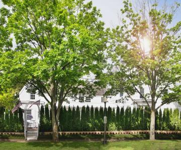 Maison Vivienne Southampton