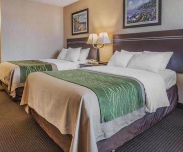 Comfort Inn On The Bay