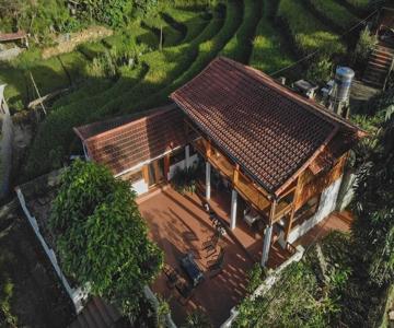 Luckydaisy's Buffalo House