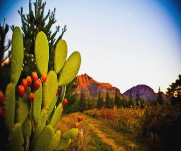 Modderkloof Farm Accommodation