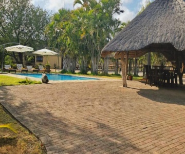Tintshaba Safaris