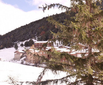Apartamentos Incles Vitivola