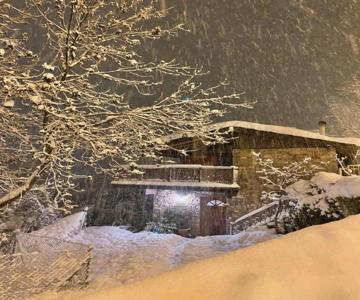 Chalet Patty&Co