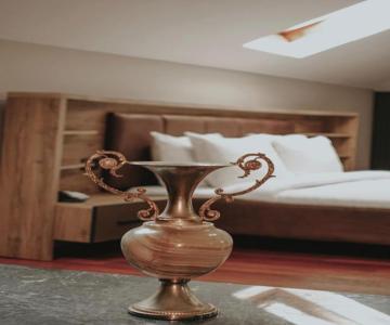 Hotel Domus