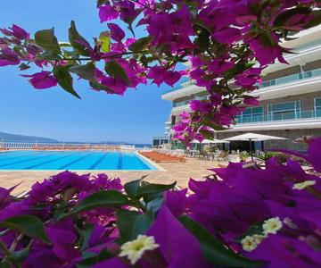 Toto Hotel & Apartments