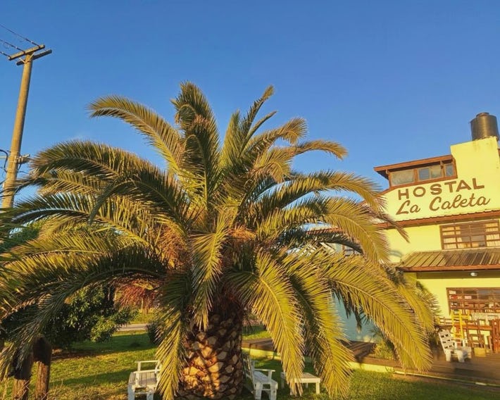 Hostal la Caleta