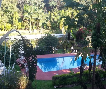 Los Amigos