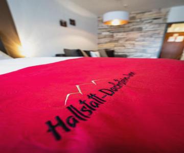 Hallstatt Dachstein Inn