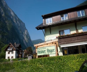 Grüner Anger