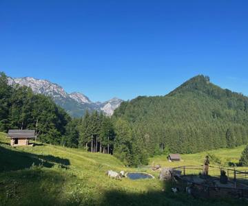 Apartment Hochsteinalm