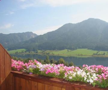 Appartements Plattner