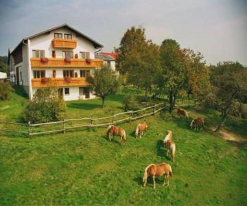 Wolf Hof
