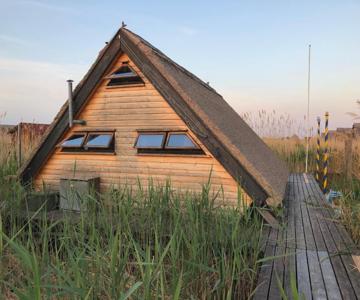 Seehütte Neusiedlersee Robinsonhütte