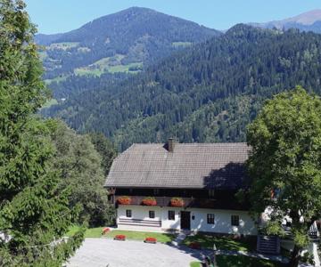 Grafhube