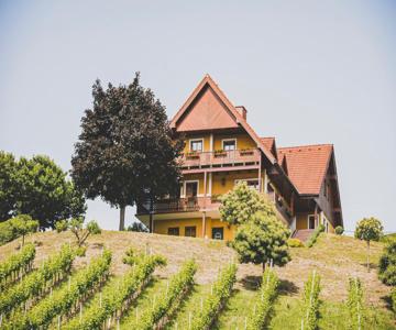 Hohler Appartement Gamlitz