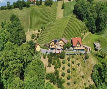 Weingut Stoff