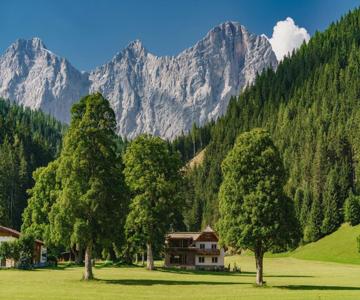 Boutique Chalet Alpenrose