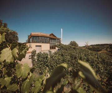 Weingut Maitz