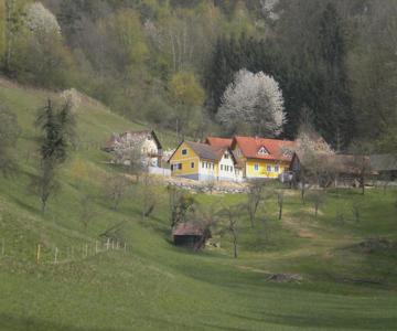 Bauernhof Buchschneider
