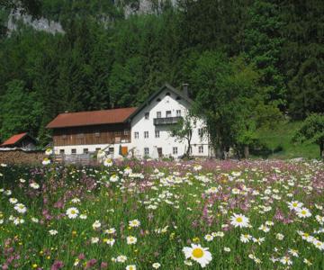 Ferienwohnung Bluntaumühle