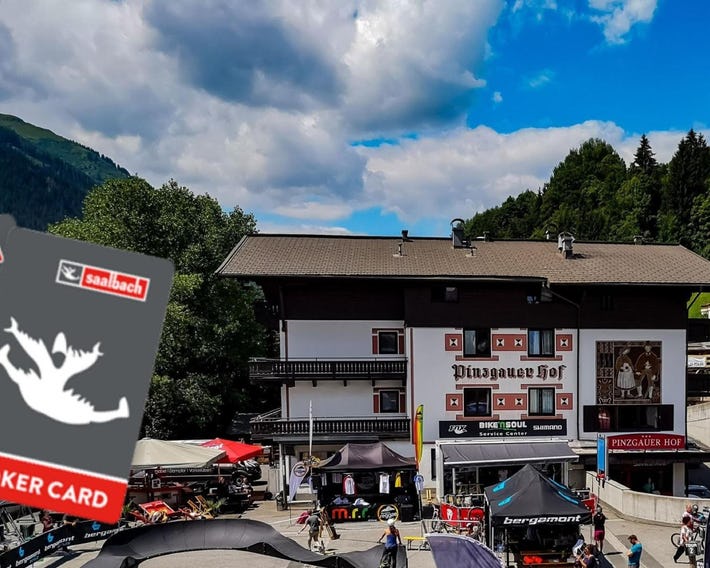 Hotel Pinzgauerhof by Skinetworks
