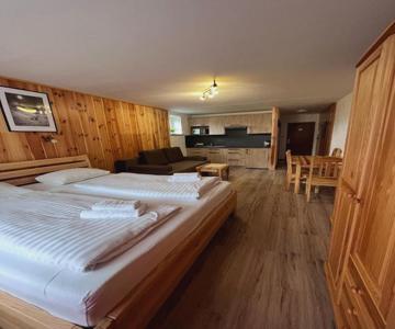 Kaprun Mountain Studio with Summer CARD- Central Location