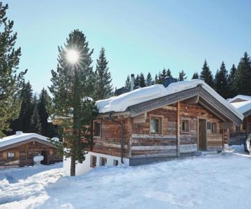 Astn Hütten Residenz Waldsicht Königsleiten - Ferienwohnungen