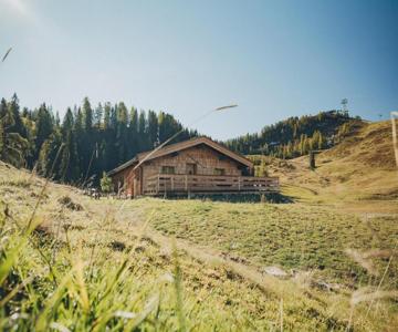 L.A. MOUNTAIN LODGE