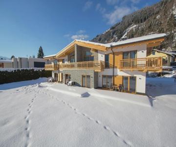 Luxurious Apartment In Zell Am See Near Ski Area