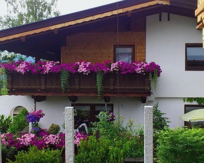 Haus Alex