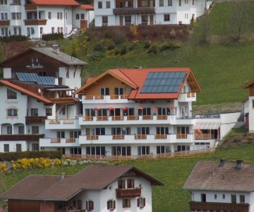 Alpenrose