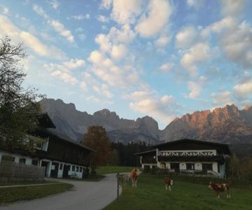 Pension Sunnbichl Biobauernhof Wolfseggstall