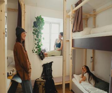 Montagu Hostel