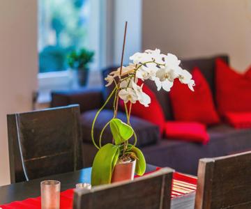 Apartment Zittera - Adults Only
